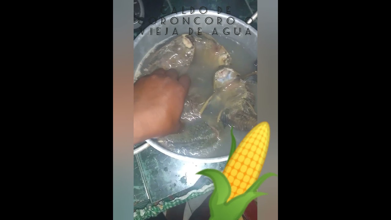 # Receta de Caldo de corroncho o Pez Diablo una Viagra poderoso