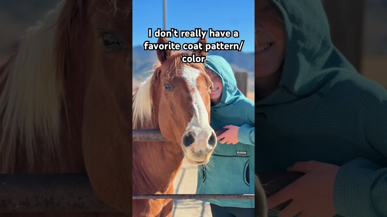 I don&rsquo;t really have a favorite coat pattern/color #horse #equestrian #appaloosa #appaloosahorse