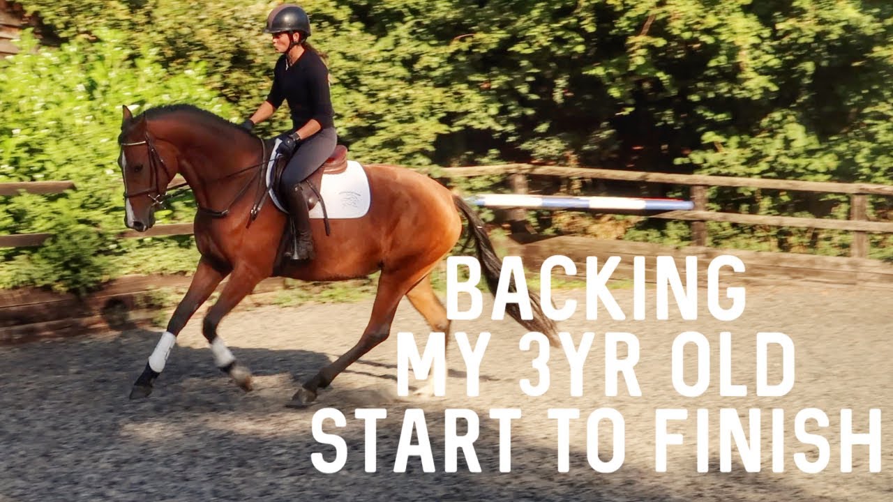 BACKING MY 3YR OLD START TO FINISH | HACKETT EQUINE VLOG