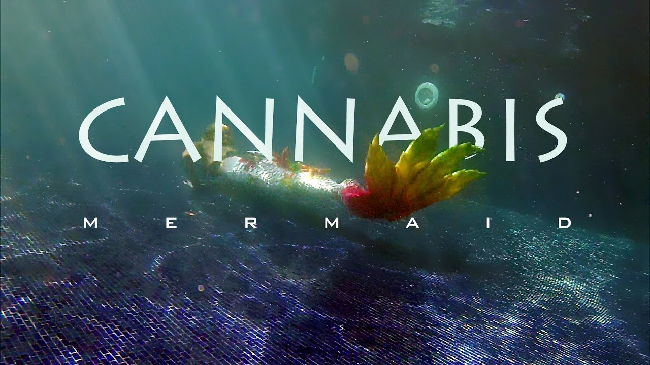 Playboy Model Swims in Cannabis Mermaid Tail