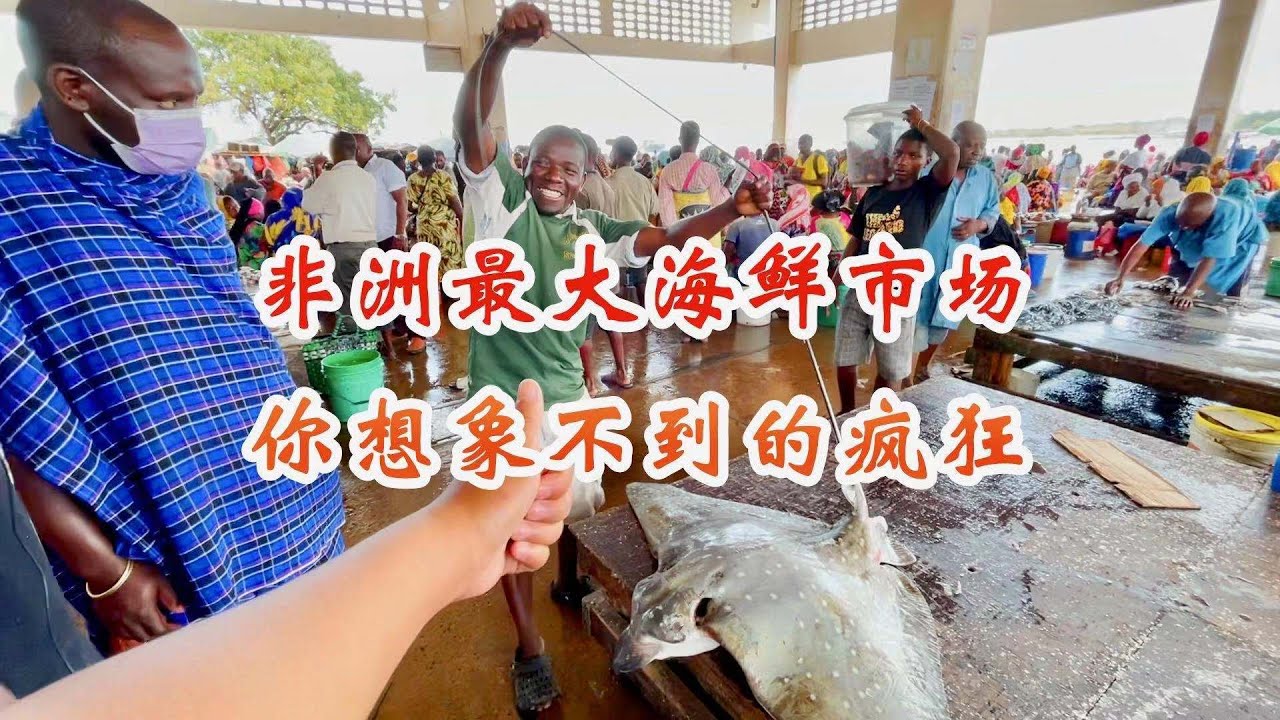 60元买一整条鲨鱼，非洲最大海鲜市场有多可怕？今天带你大开眼界