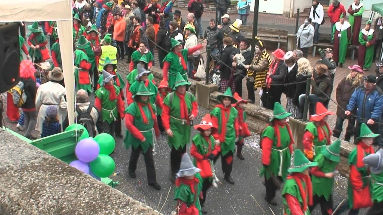 33.Fränkisches Narrentreffen in Höpfingen 
