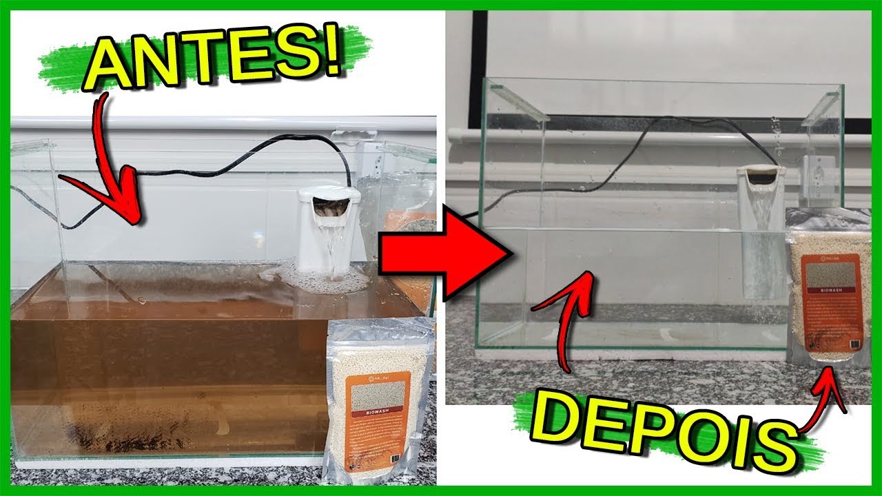 Deixando a Água do Aquário CRISTALINA e Removendo AMÔNIA em HORAS!