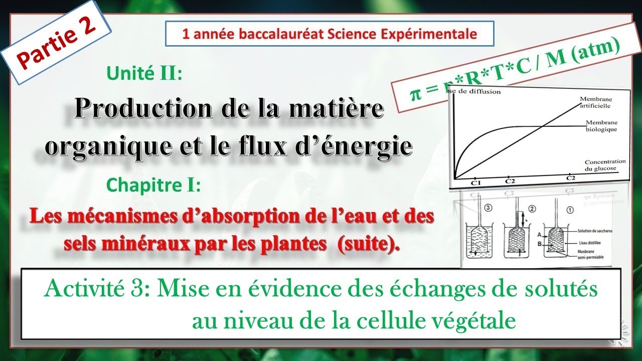Principe des &eacute;changes des solut&eacute;s au niveau des cellules v&eacute;g&eacute;tales تبادلات المواد  على مستوى الخلية