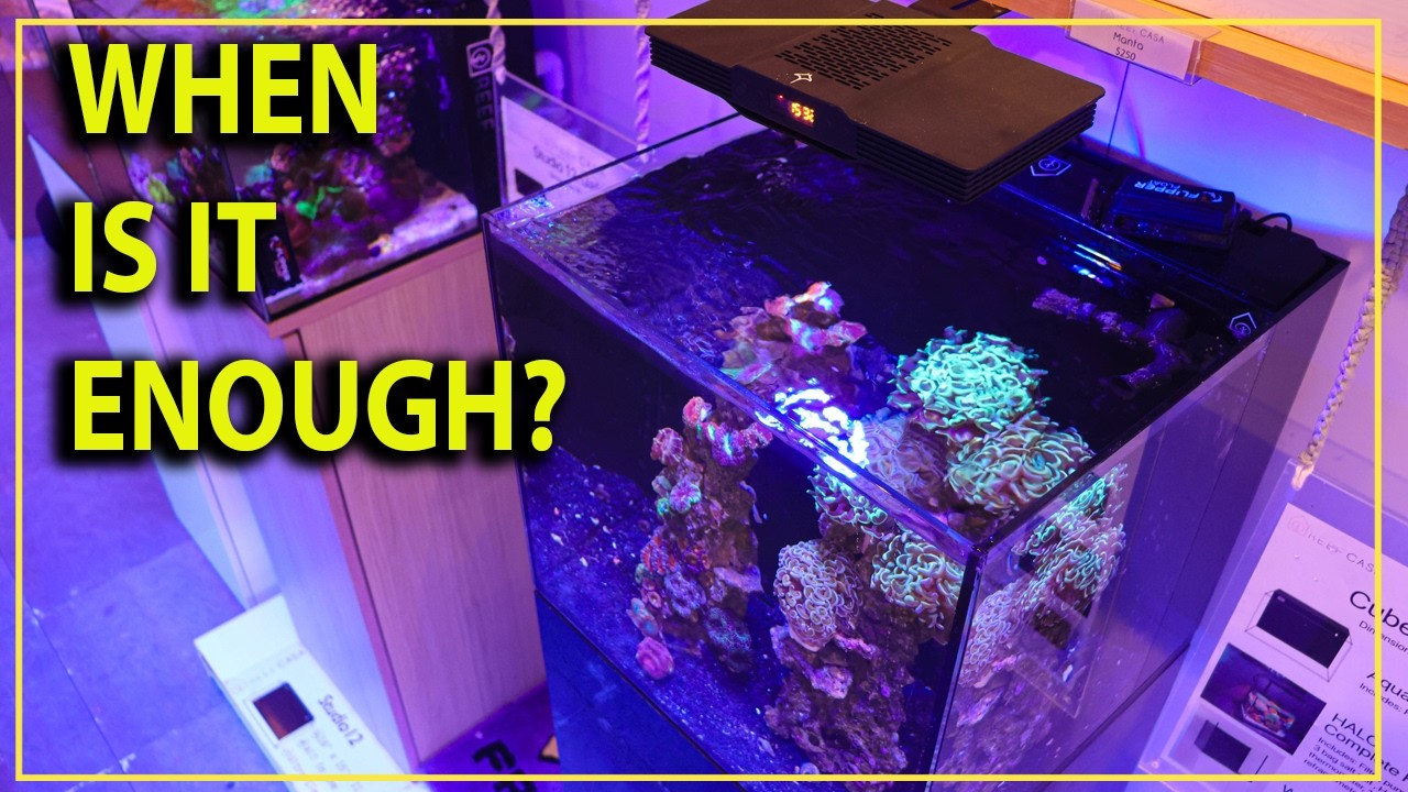 When will we stop adding coral to your nano reef ?