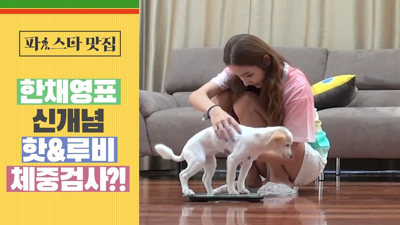 [파!스타 맛집]  한채영표 ※신개념※ '체중검사'?!