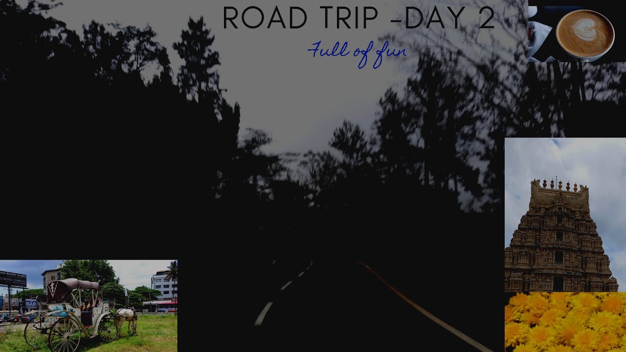 Road trip day 2 full of Mysore and reach Mangalore via Coorg from veggie fruity meatty