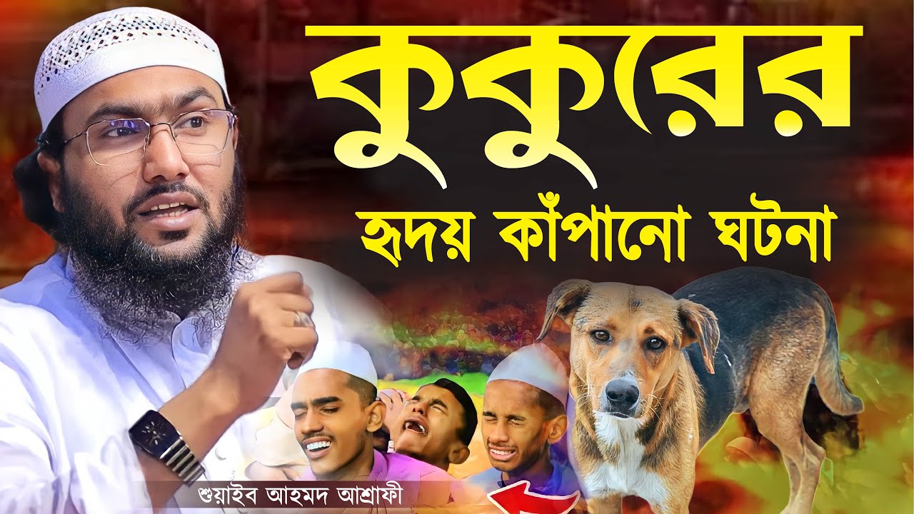 কুকুরের হৃদয় কাঁপানো ঘটনা || শুয়াইব আহমদ আশ্রাফী || Shuaib Ahmed Ashrafi || Ashrafi New Bangla Waz