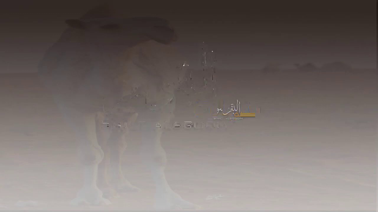 جديد 2021 ❗️شيلة البقوم ❗️كلمات : راشد الرياحي