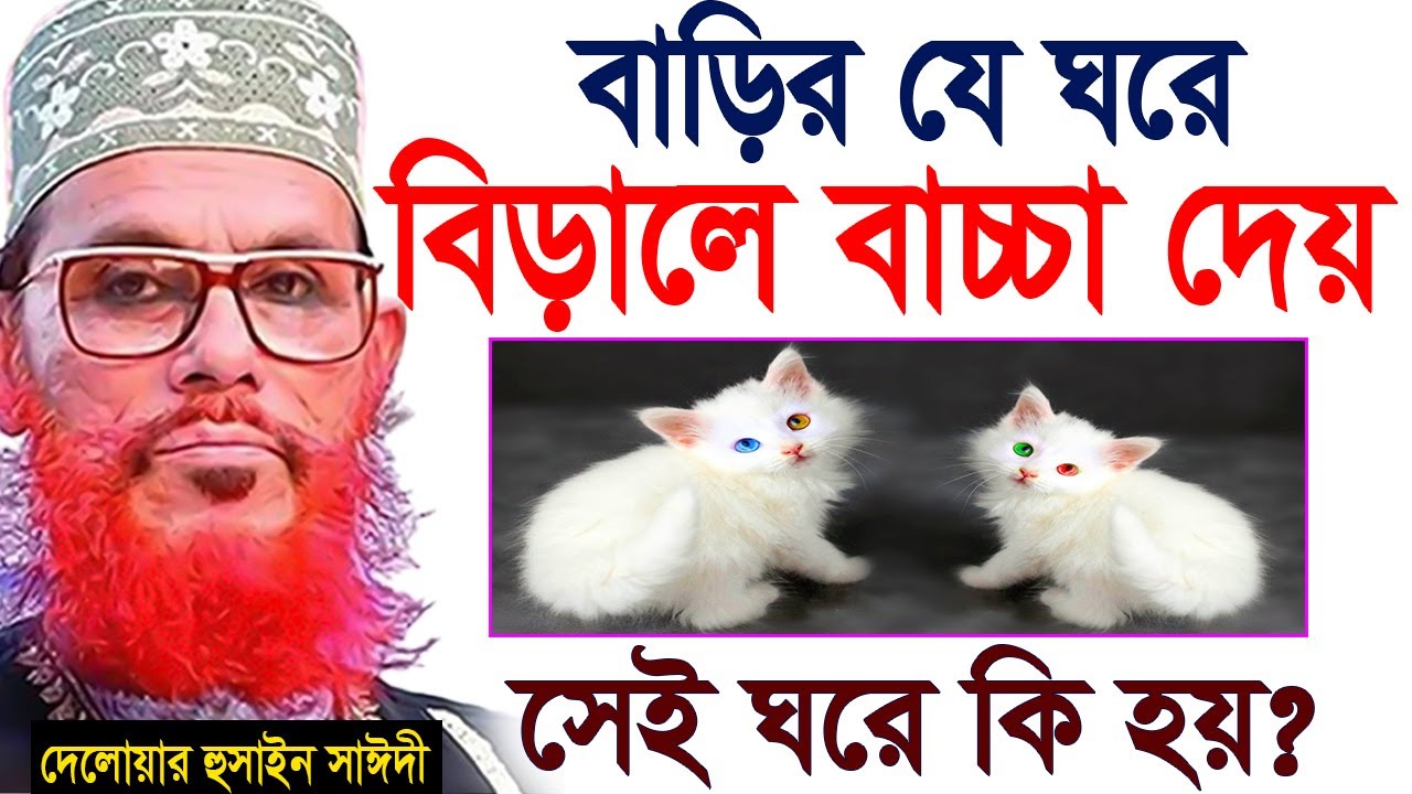 বাড়ির যে ঘরে বিড়ালের বাচ্চা দেয়=সেই ঘরে কি হয়??=allama saidi  waz-মাওলানা দেলওয়ার হোসাইন সাঈদী#waz