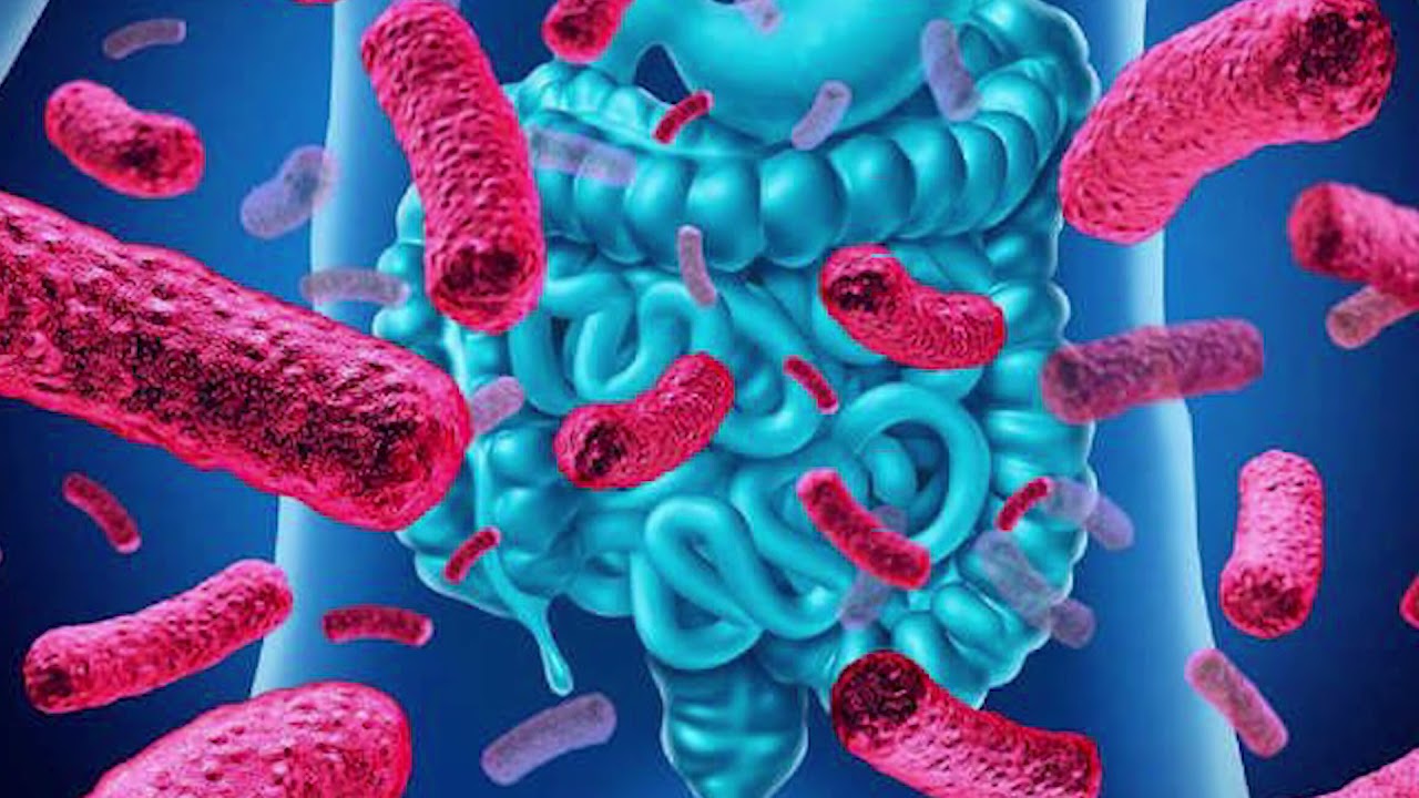 👩‍⚕¿QUÉ ES LA AMEBIASIS?🥼