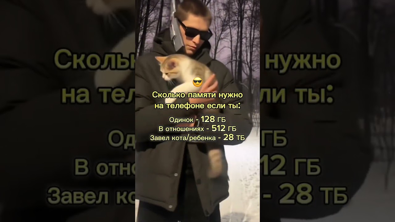 Согласны? 😎 SaityLow