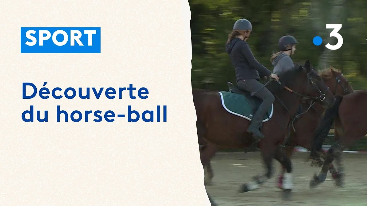 Découverte : le horse-ball, un sport équestre étonnant