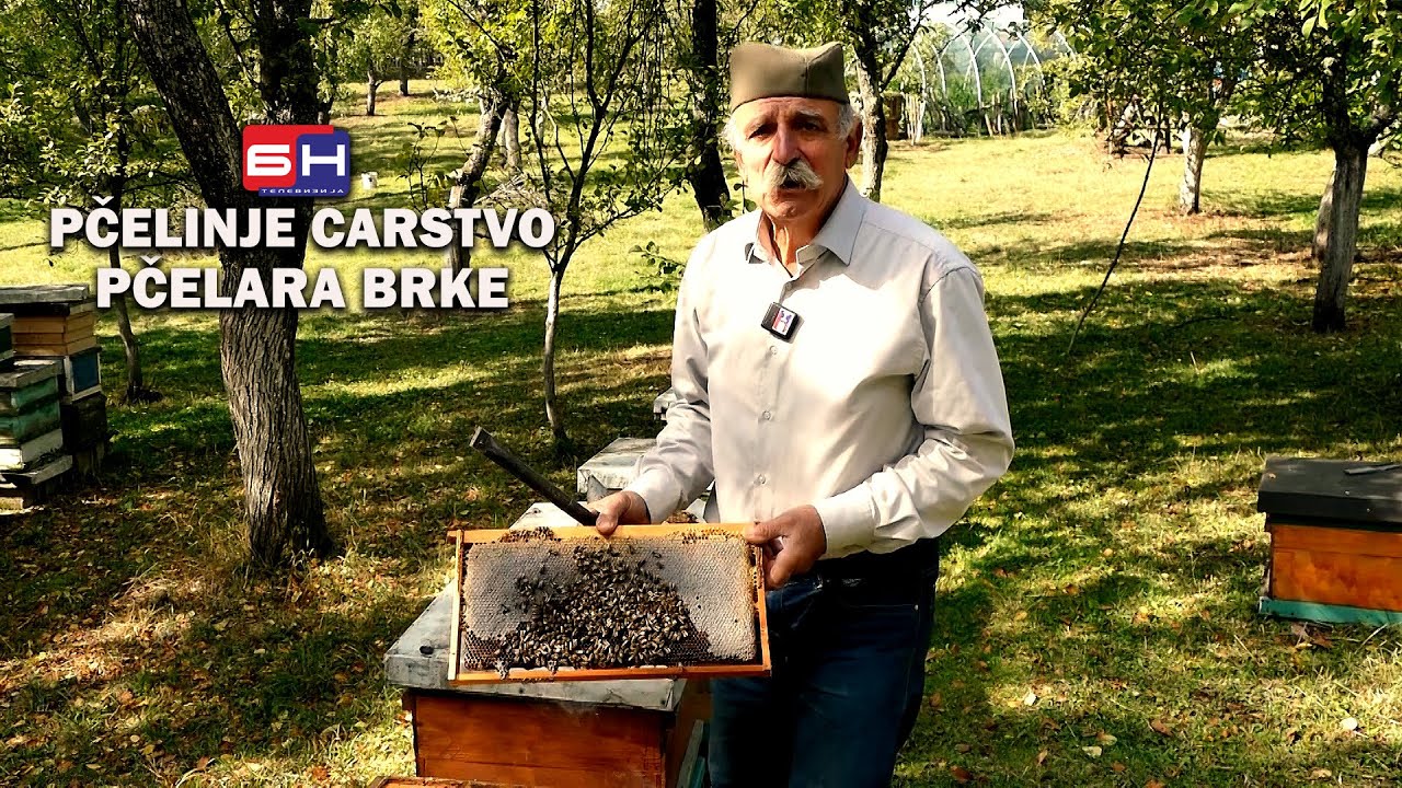 Pčelinje carstvo pčelara Brke || ZAPISI PORED PUTA