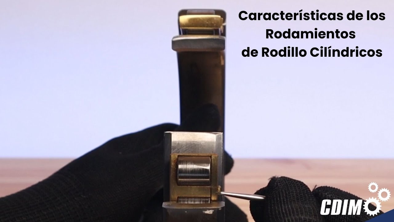 Características de los Rodamientos de Rodillo Cilíndricos - CDIM International