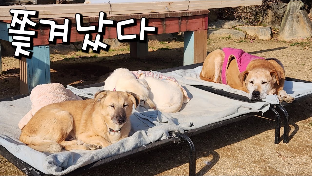이 추운 날에....?