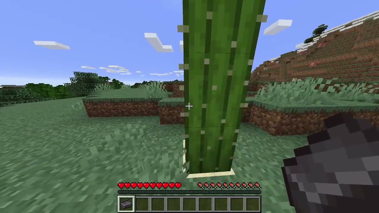 Cactus VS Netherite