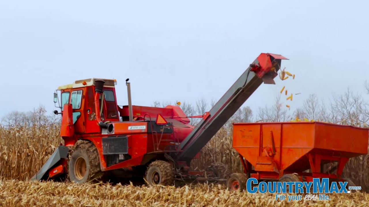 CountryMax Corn
