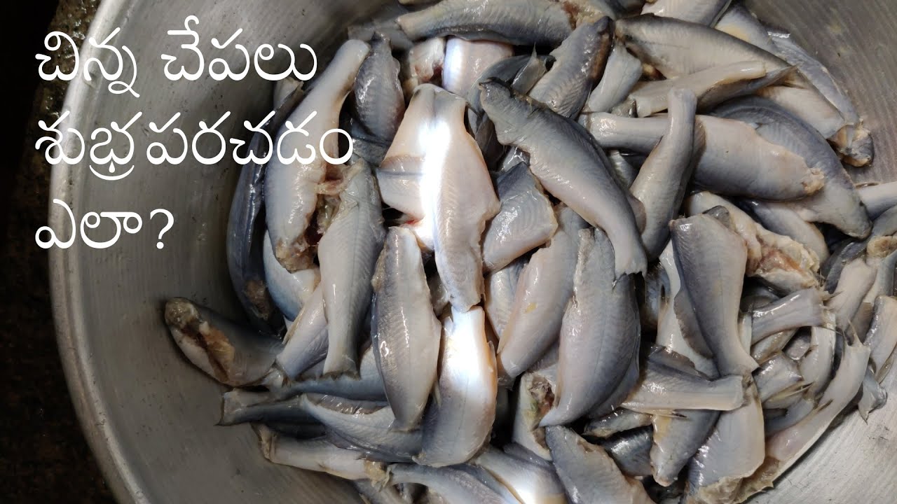 Small Fishes Cleaning Process in Telugu || చిన్న చేపలు శుభ్రపరచడం ఎలా?