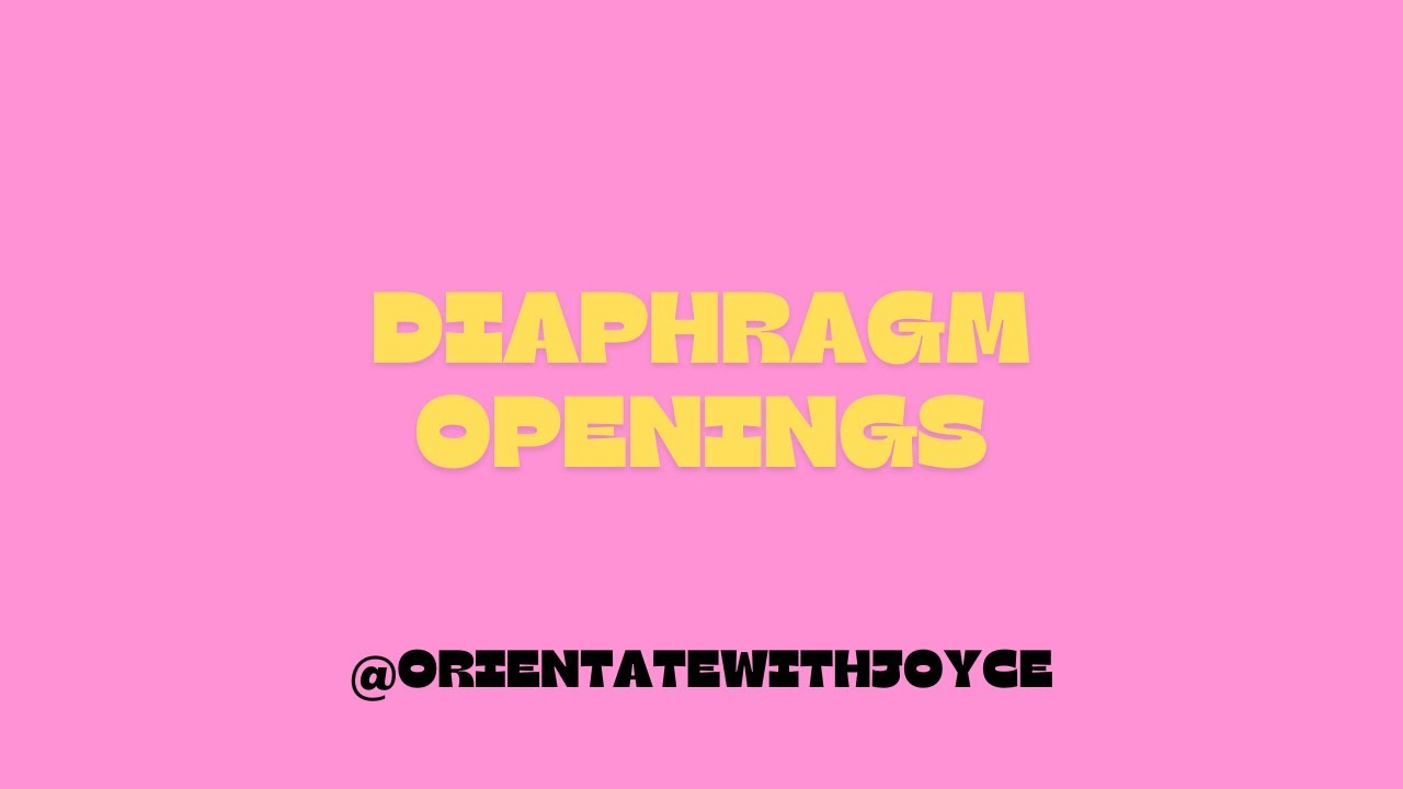 Diaphragm and its openings