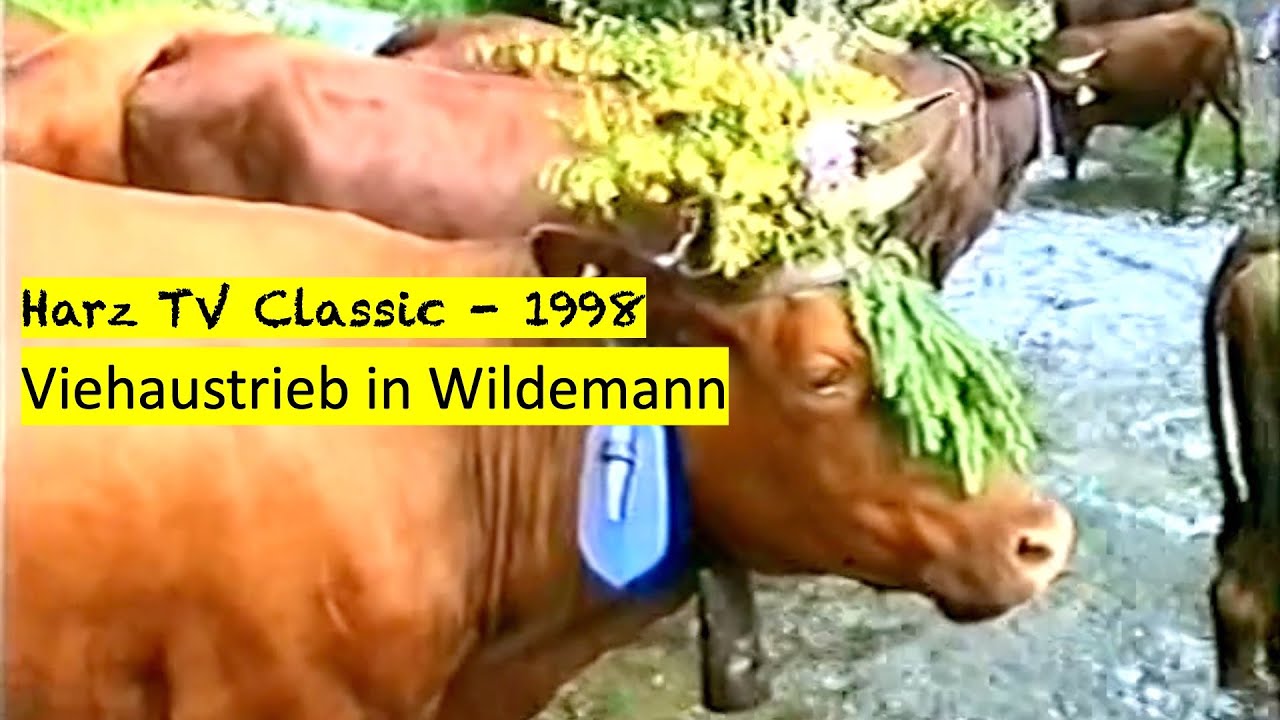 Classic - Viehaustrieb in Wildemann (1998)