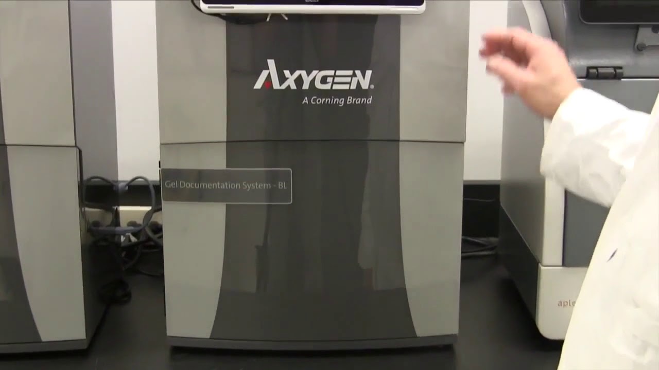 Axygen&reg; Gel Documentation Systems