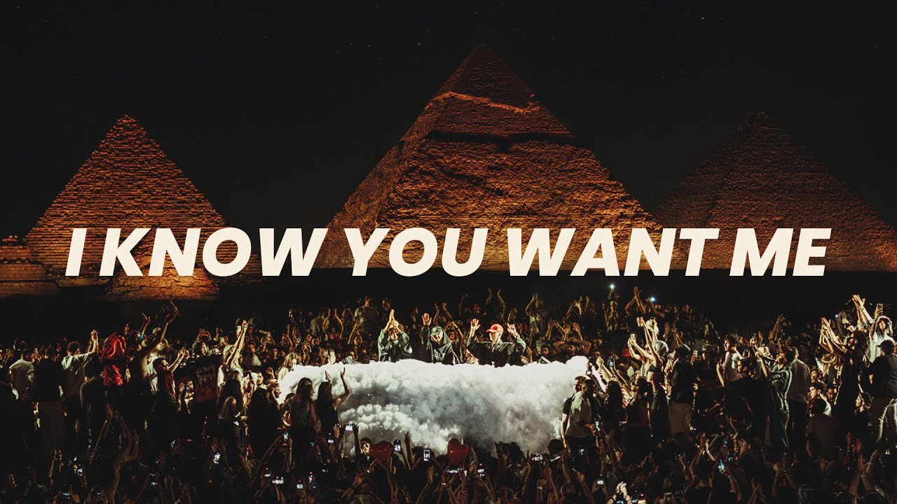 Pitbull - I Know You Want Me (Dave Ruthwell x NO ONE Afro House Remix)