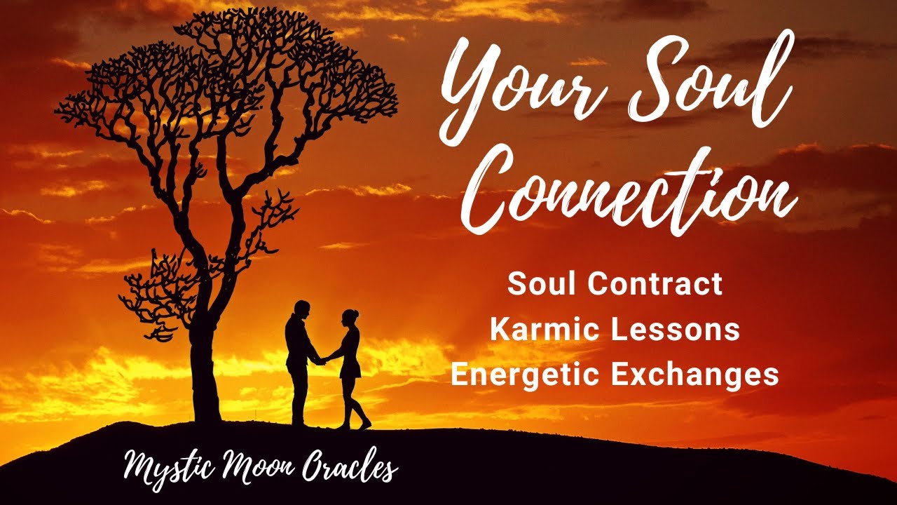Your SOUL CONNECTION LOVE TAROT READING (No Contact) ❤️ Soul Contract 🌹 Karmic Lessons 🦋 🔥