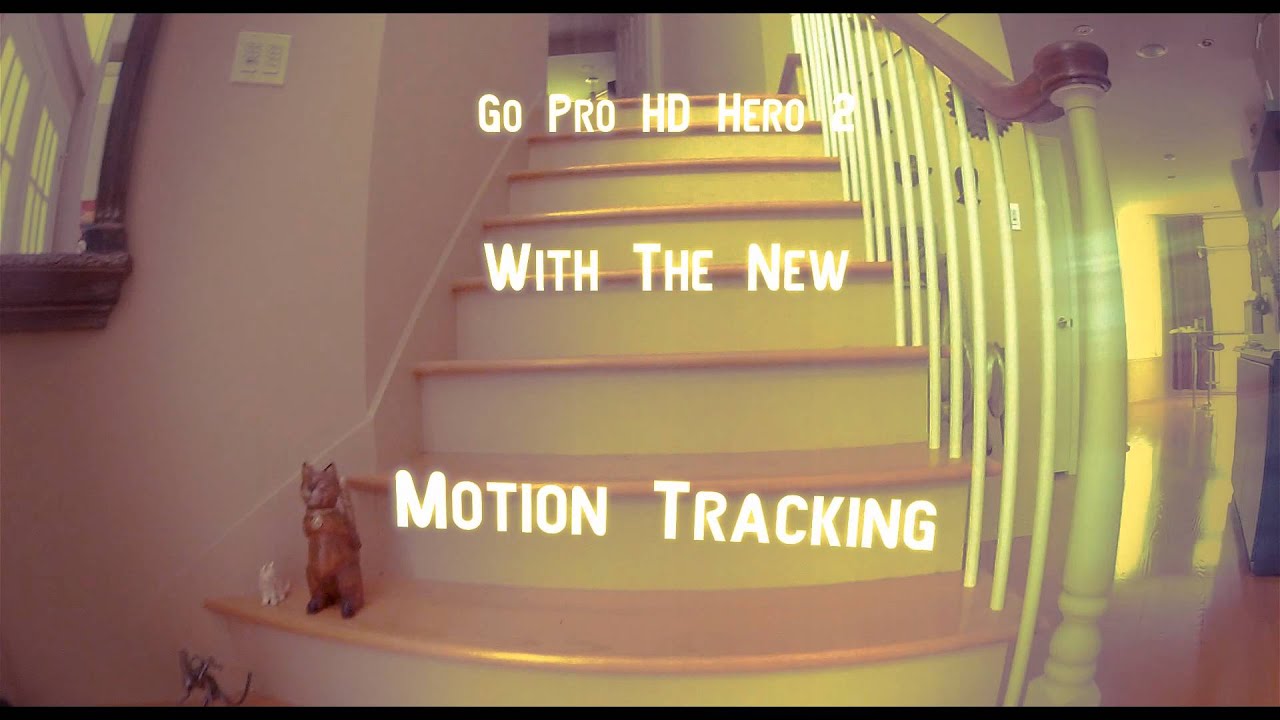 Go Pro HD Hero 2 w/ Motion Tracking
