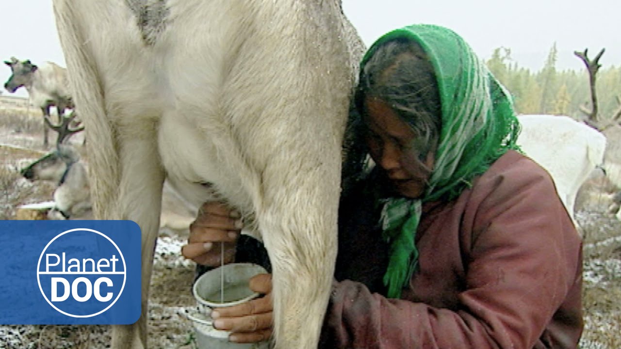 Gengis Khan. Tribu en Peligro Extinción | Cultura - Planet Doc