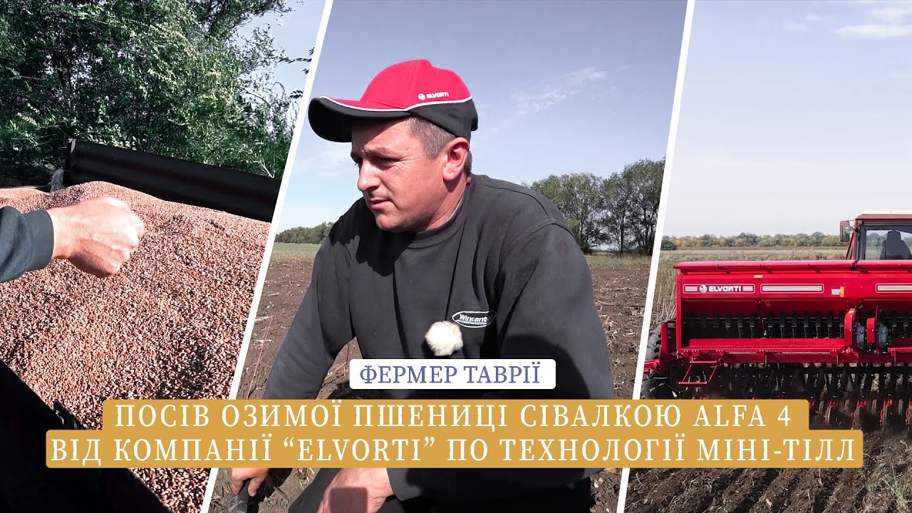 Посів озимої пшениці сівалкою Alfa 4, від компанії 