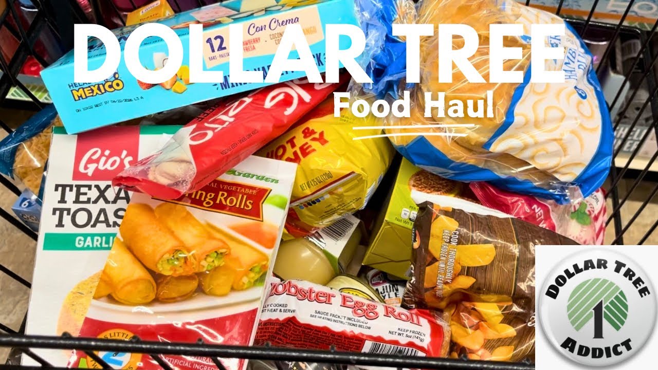 Dollar Tree Food Haul