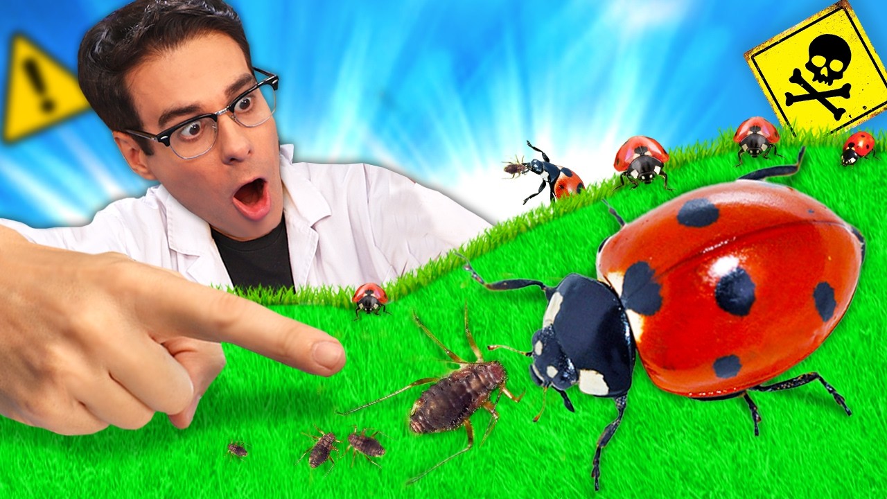 MARIQUITA EXTERMINA PULGONES sin piedad