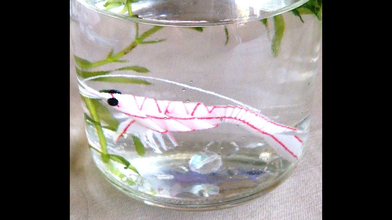 ストローでエビを作りました