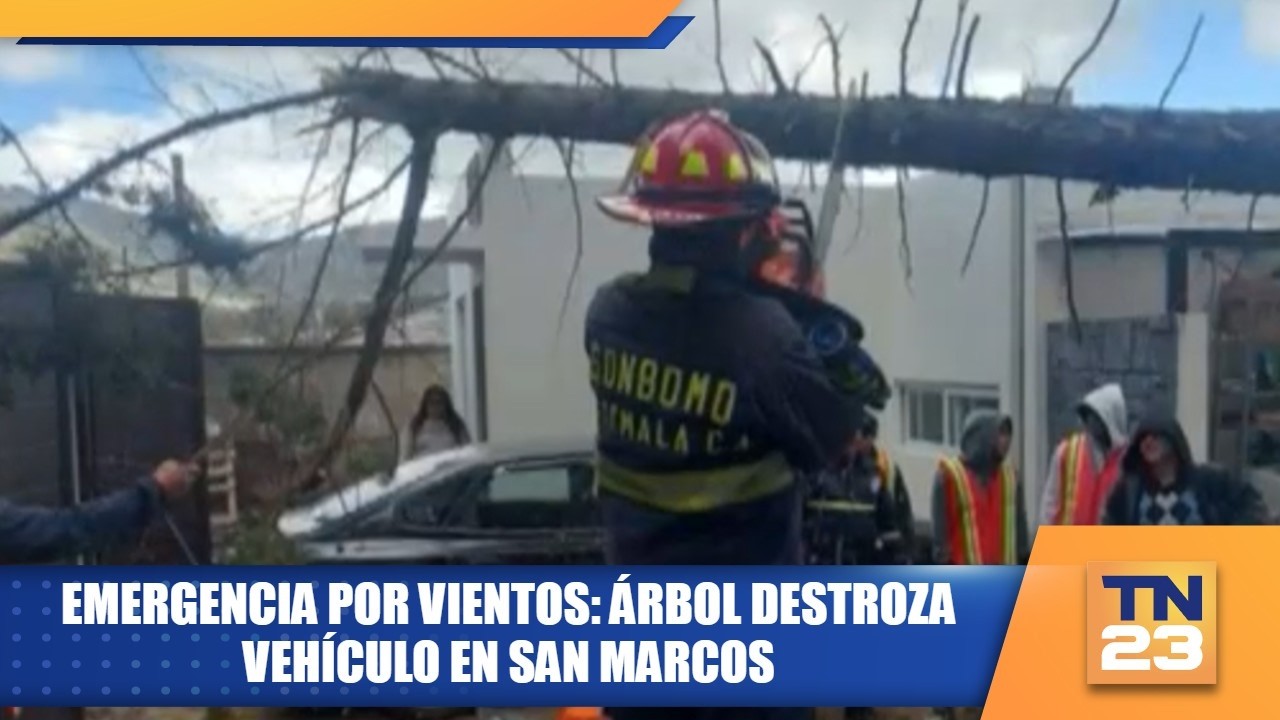 Emergencia por vientos: árbol destroza vehículo en San Marcos