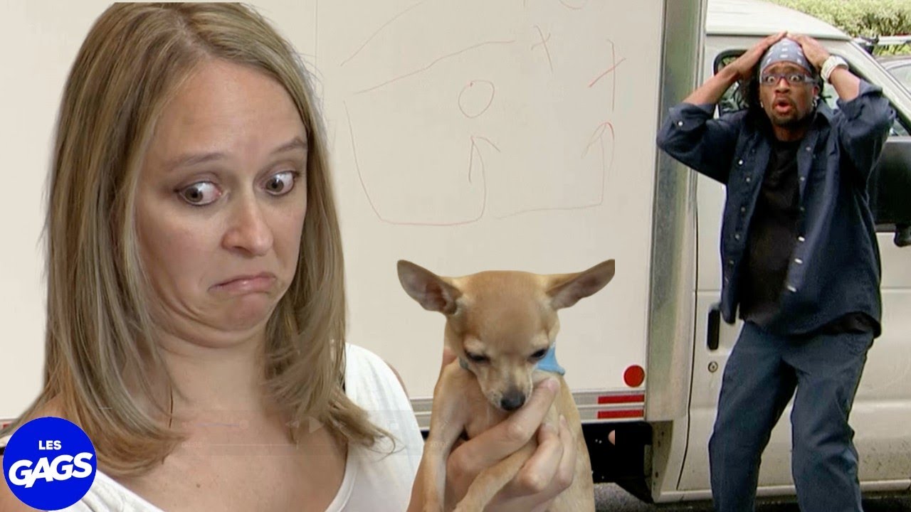 Son chien fait des dessins à 1000$ | Juste Pour Rire Les Gags