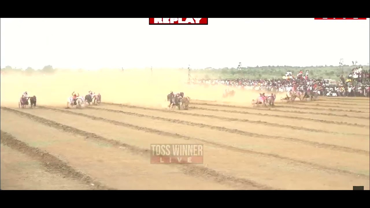 Mathur VS Baksur 1st Time in Bailgada shyart In semi Ajitdada Kesari #bailgadasharyat #मथुर #bakasur