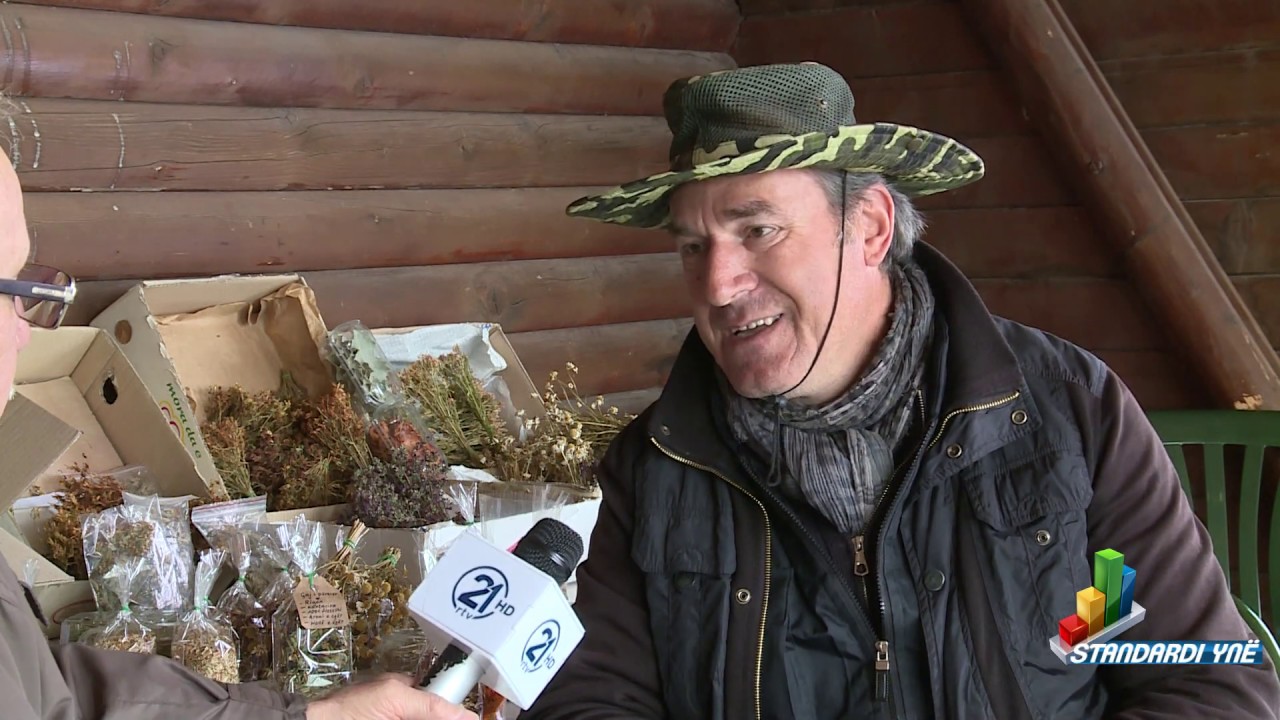 Standardi yne - Aktualitete biznesi (06.03.2020)