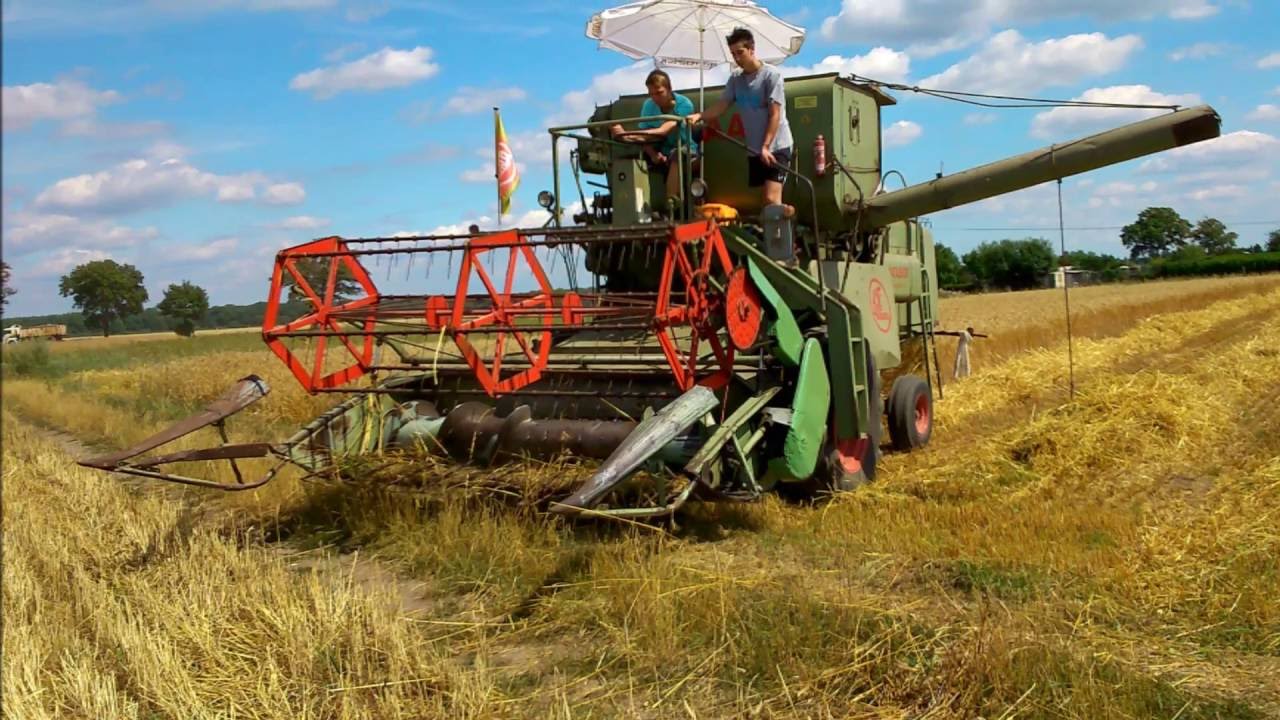Claas Matador Gigant, Ernte 2016