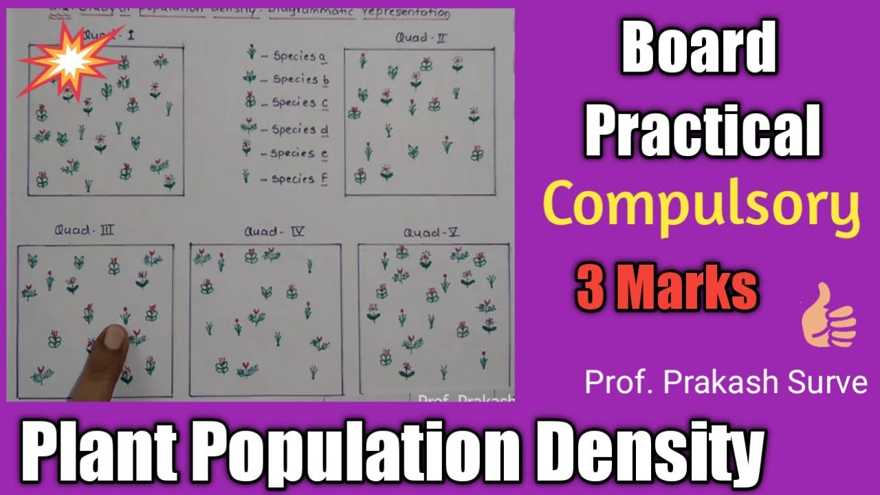 CLASS-12/ Plant Population Density (PracticaI-5 Artificial Quadrat) By Prof.Prakash Surve(Moderator)