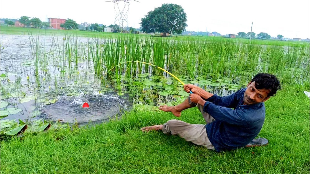 Fishing video ✅ New traditional boy hook fishing 🎣 in village feild | hook fishing trap 