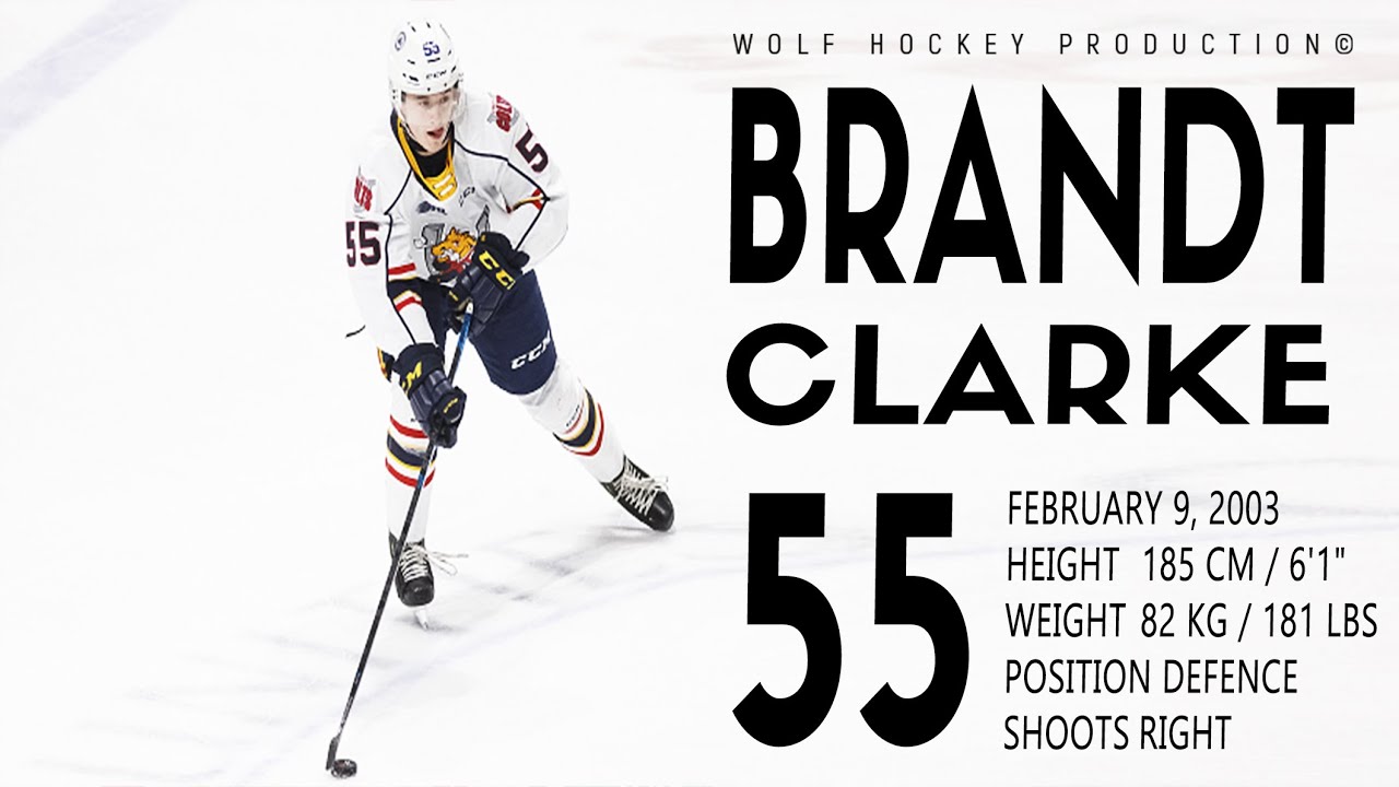 The Best Of Brandt Clarke | Top Prospect For The NHL 2021 Draft | Hockey Highlights | HD