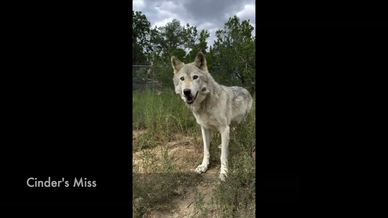 September Sanctuary Recap