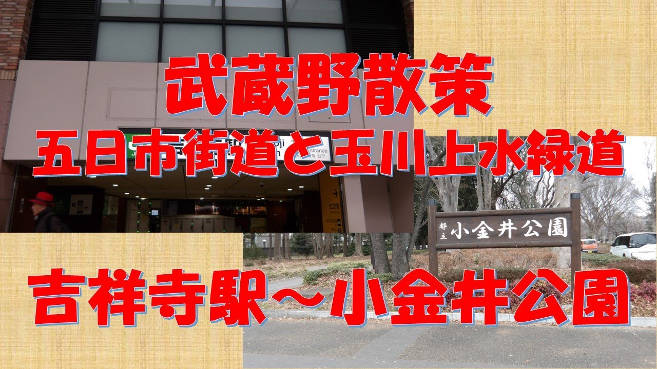 武蔵野散策   五日市街道と玉川上水緑道（吉祥寺駅から小金井公園）