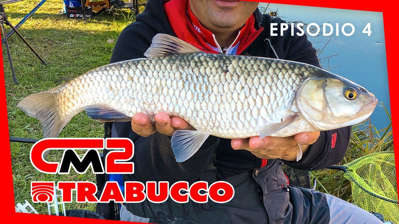 I CAVEDANI del Sile - ROUBASIENNE | Competition Master S2E4 | @Trabucco Fishing