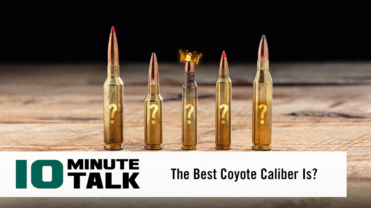 #10MinuteTalk - The Best Coyote Caliber Is?