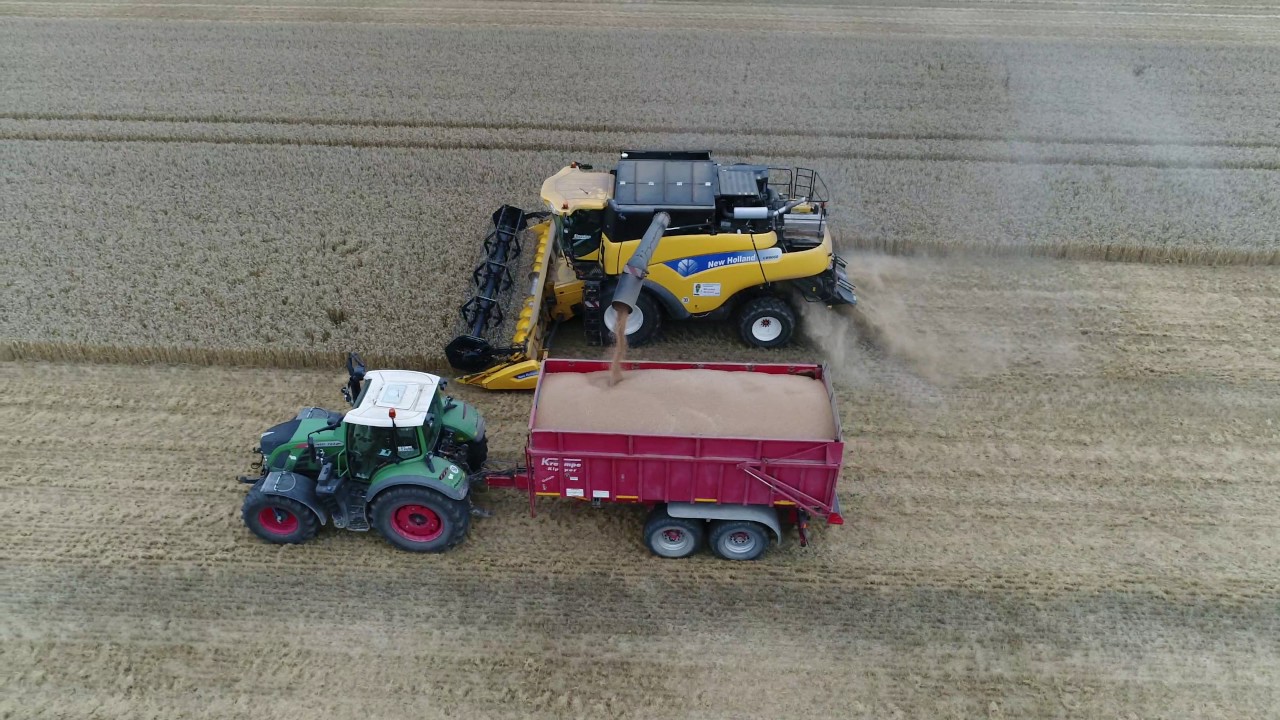 New Holland CR 9060 am Dreschen 2017 [FENDT|STEYR] //4K//