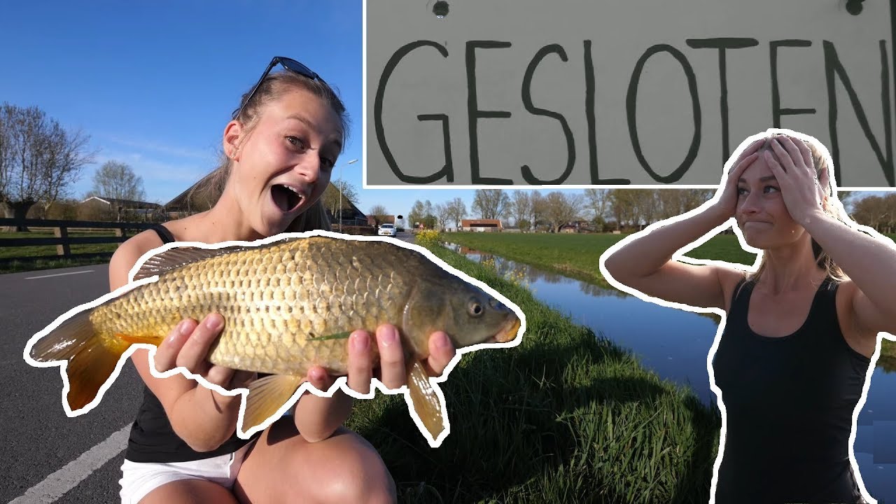 VISSEN IN QUARANTAINE - HOE VANG IK EEN KARPER?