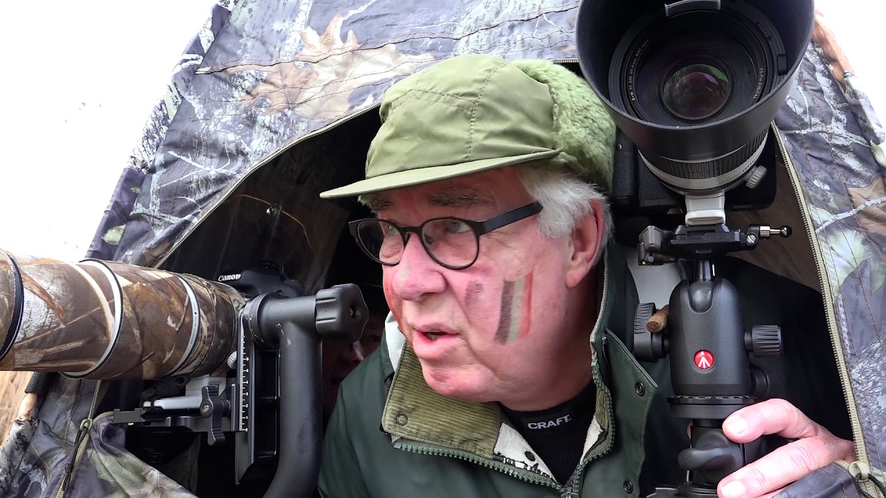 VOGELFOTOGRAFIE