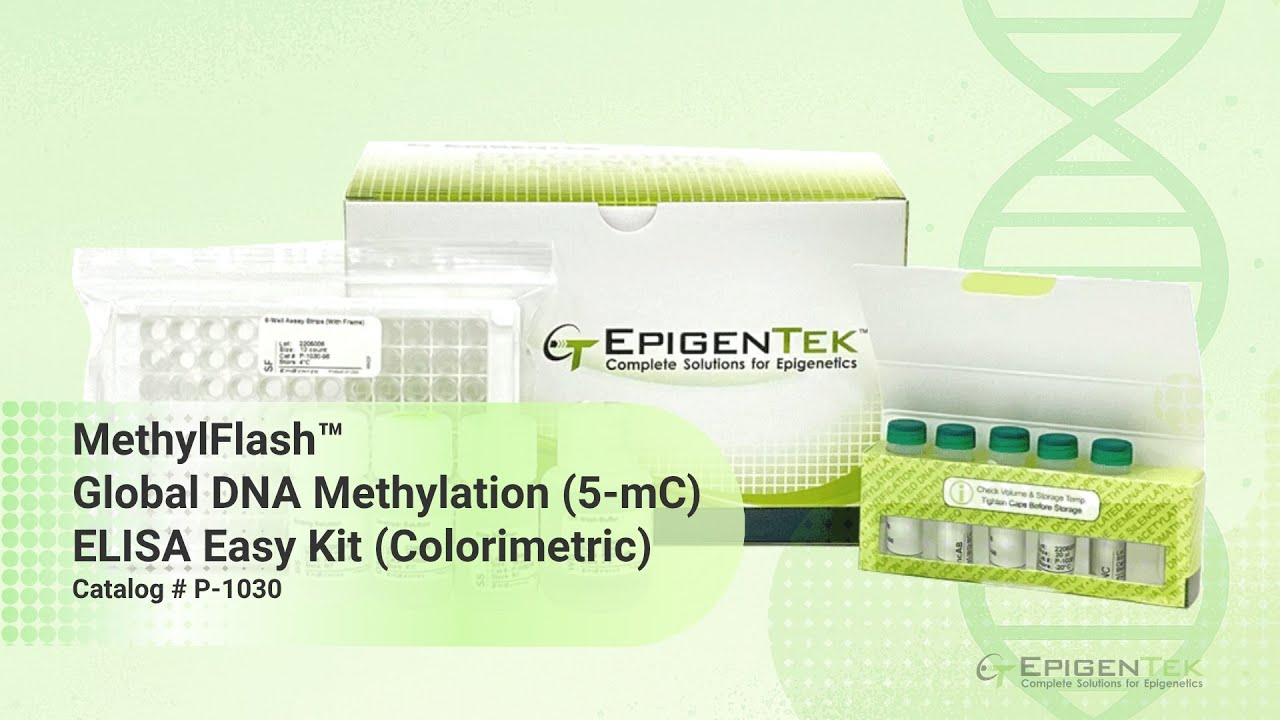 Global DNA Methylation (5-mC) Quantification ELISA for Epigenetic Research | MethylFlash&trade; User Guide